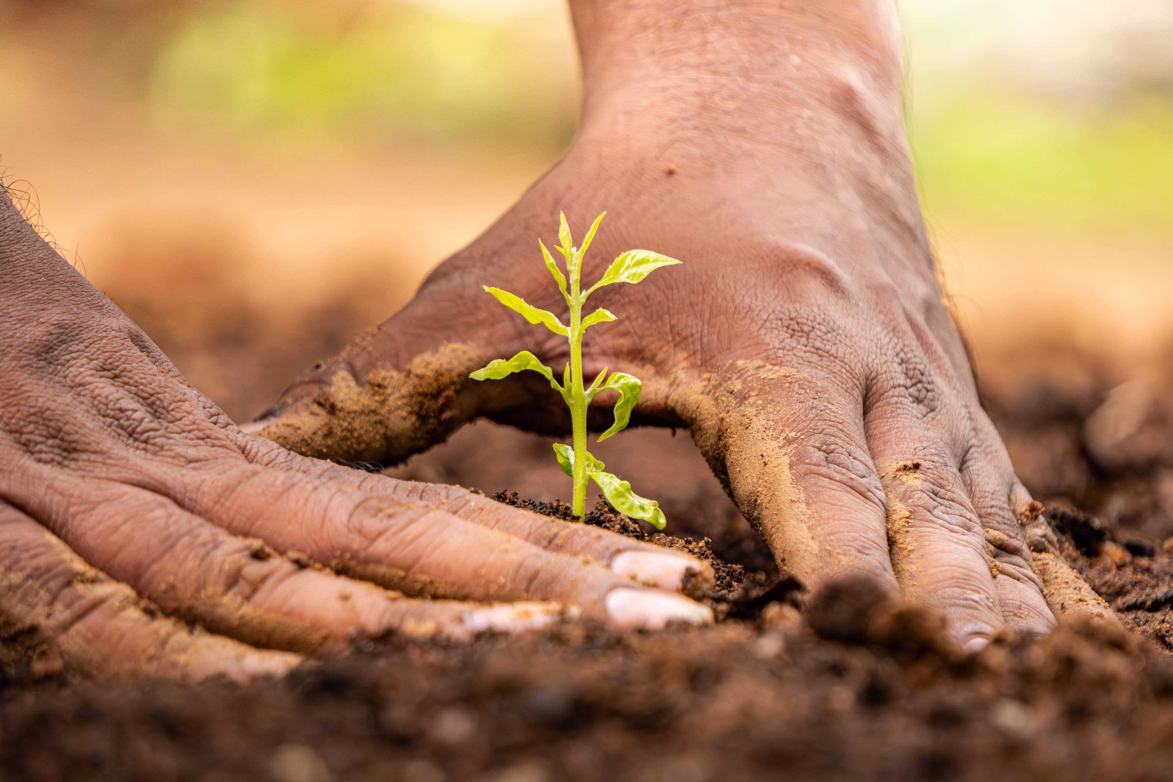 Sustainability in Action: Our IGBC Certified Spaces  blog post image